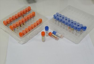 噬菌体制备及保存技术探讨：噬菌体制备及保存技术的优缺点分析噬菌体展示技术的优缺点 其他宠物 第3张