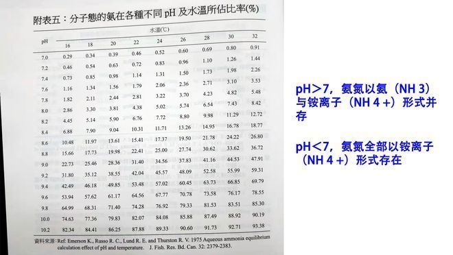 鱼苗氨氮检测频率建议：鱼苗氨氮检测最佳时间 其他宠物 第1张