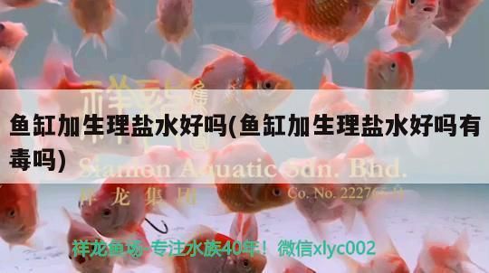 泰庞海鲢鱼繁殖温度控制技巧：泰庞海鲢鱼的繁殖温度控制 其他宠物 第5张