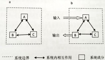 亚马逊河生态系统平衡的关键因素：亚马逊河生态系统对维持生态系统健康至关重要 其他宠物 第2张