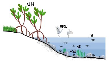 亚马逊河生态系统平衡的关键因素：亚马逊河生态系统对维持生态系统健康至关重要 其他宠物 第5张