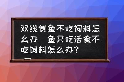 双线侧鱼繁殖期饲料选择：双线侧鱼的繁殖期饲料选择需要考虑到其营养需求和繁殖特性 其他宠物 第2张