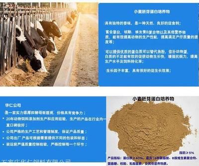 鱼饲料添加剂的选择与使用：鱼饲料添加剂的使用与使用 其他宠物 第1张