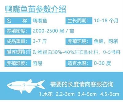 鸭嘴鱼生长周期影响因素：鸭嘴鱼的生长周期受到哪些因素影响 其他宠物 第4张