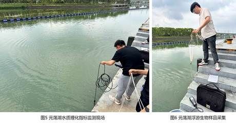 水质监测设备选型指南：水质监测设备的选型指南 其他宠物 第5张