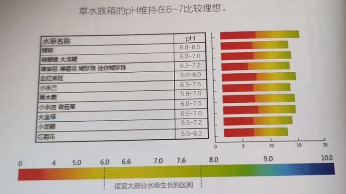 如何检测水族箱pH值：水族箱ph值异常怎么办,ph测试仪选购指南 其他宠物 第2张