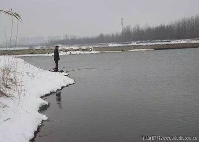 雪天钓鲫鱼最佳时段：雪天钓鲫鱼的最佳时段主要集中在以下几个方面 其他宠物 第1张