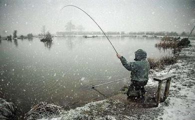 雪天钓鲫鱼最佳时段：雪天钓鲫鱼的最佳时段主要集中在以下几个方面 其他宠物 第4张