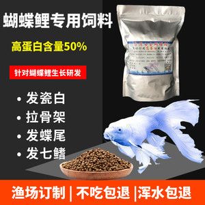 蝴蝶鲤专用饲料选购技巧：蝴蝶鲤专用饲料选购指南 其他宠物 第2张