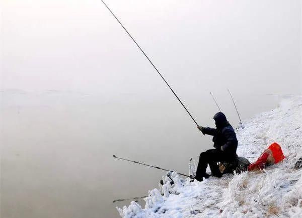 雪天钓鱼保暖食物准备：雪地钓鱼保暖食物准备：雪天钓鱼保暖食物食谱和食物食谱 其他宠物 第4张