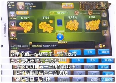 游戏内虚拟货币充值技巧：游戏内虚拟货币充值的实用技巧 其他宠物 第3张