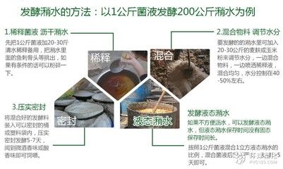 饲料密封容器选择指南：饲料密封容器的选择指南 其他宠物 第5张