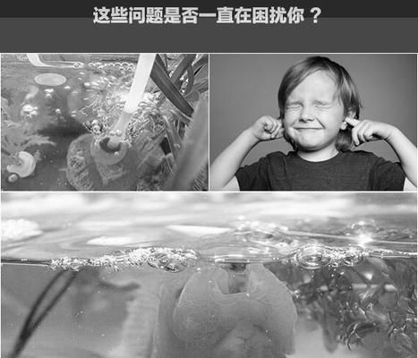 氧气泵降噪技术原理：利用新型降噪技术对氧气泵进行降噪处理方法 其他宠物 第2张