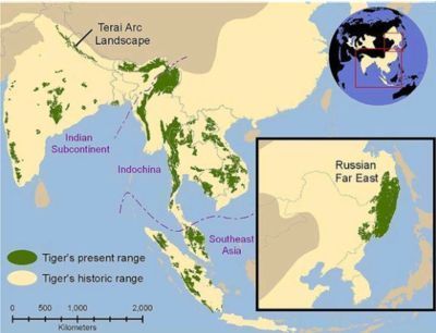 湿地恢复对肺鱼繁殖的影响：湿地恢复对肺鱼繁殖产生积极影响 其他宠物 第5张