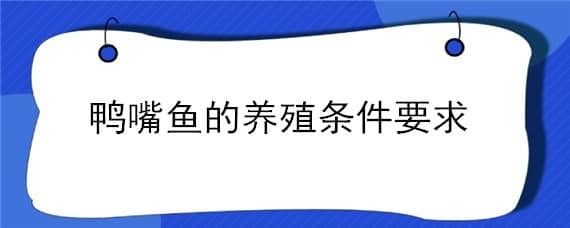 鸭嘴鱼苗饲料选择指南：鸭嘴鱼苗饲料营养配比标准 其他宠物 第5张