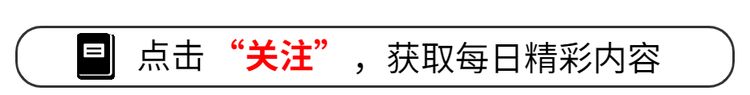 象鼻鱼饲养密度控制：关于象鼻鱼的饲养密度的一些指导 其他宠物 第4张