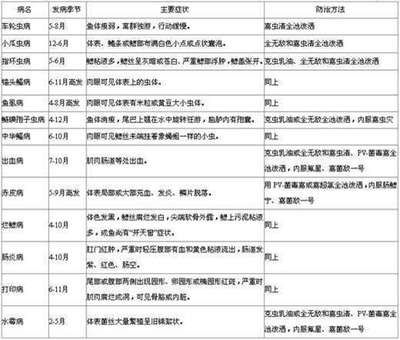 白点病高锰酸钾使用量：孔雀鱼白点病高锰酸钾使用量 其他宠物 第3张