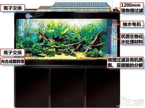 水族箱过滤器选择指南：水族箱过滤器的选择指南 其他宠物 第2张