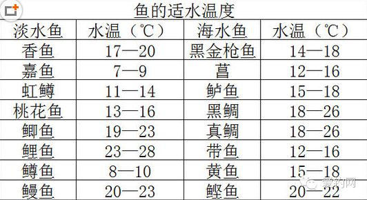 鱼类适宜水温与生长关系：鱼类适宜水温与生长之间的关系 其他宠物 第1张