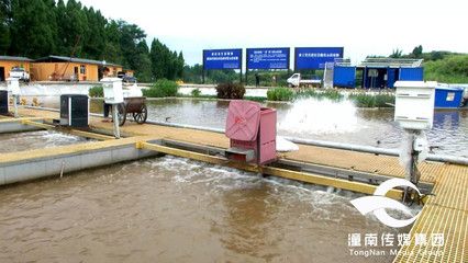 鱼苗养殖水质监测技术：水质监测技术在鱼苗养殖中扮演着至关重要的角色 其他宠物 第4张