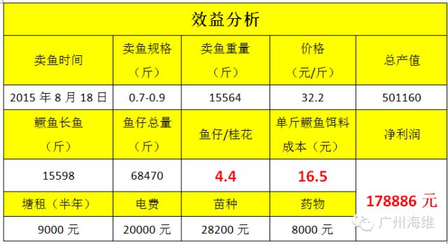 鳜鱼养殖成本构成详解：鳜鱼养殖成本主要包括哪些方面 其他宠物 第1张