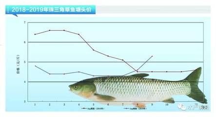 鳜鱼养殖成本构成详解：鳜鱼养殖成本主要包括哪些方面 其他宠物 第4张