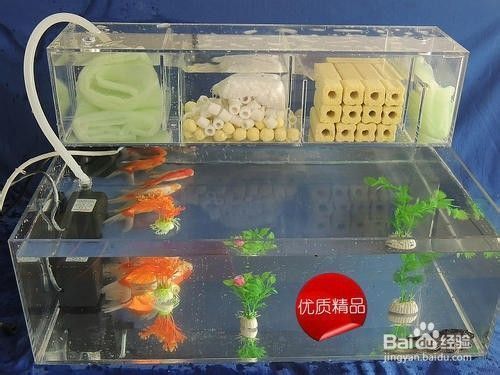 水族箱过滤系统选择：水族箱过滤系统如何选择 其他宠物 第2张