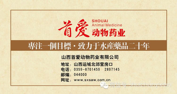 鱼疱病的早期诊断方法：鱼疱病早期诊断方法 其他宠物 第5张