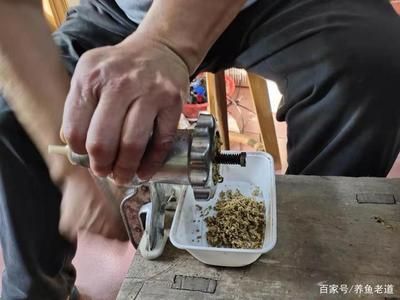 自制鱼饲料保存技巧：自制鱼饲料冷藏注意事项，自制鱼饲料保存最佳温度 其他宠物 第5张