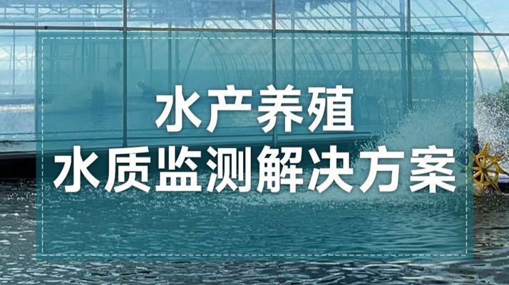 如何监测月光鸭嘴鱼水质溶氧量：智慧渔业水质哨兵溶氧监测仪 其他宠物 第1张