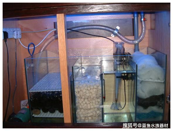 水族箱过滤棉清洗频率：水族箱过滤棉的清洗频率应该如何确定？ 其他宠物 第4张