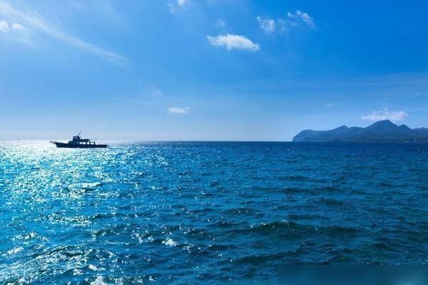 海洋酸化对其他海洋生物的影响：海洋酸化对于海洋生物的影响 其他宠物 第3张