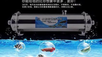 如何选择适合的水族箱过滤器品牌？：水族箱过滤器品牌历史对比，水族箱过滤器创新技术介绍 其他宠物 第2张