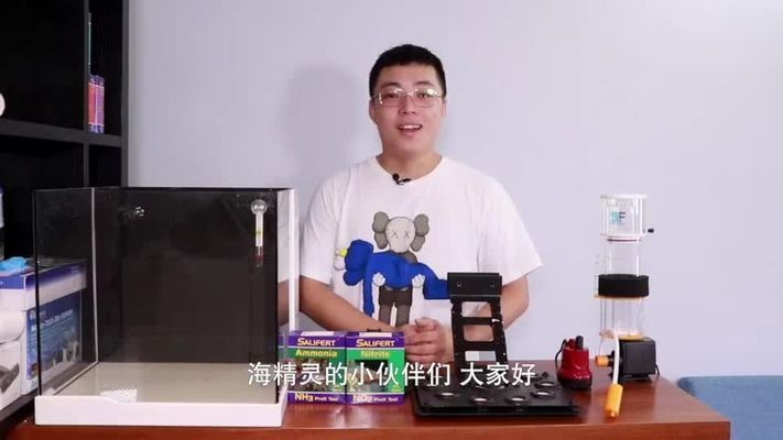 新鱼隔离观察的最佳实践：新鱼隔离容器选择指南 其他宠物 第2张