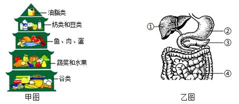 如何辨别鱼的新陈代谢：关于鱼的新陈代谢 其他宠物 第4张