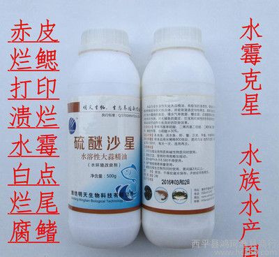 防治水霉病的有效药物：水霉病药物使用注意事项 其他宠物 第4张