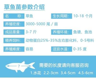 鱼苗接种疫苗后的详细记录内容：鱼苗接种疫苗后的详细记录 其他宠物 第5张