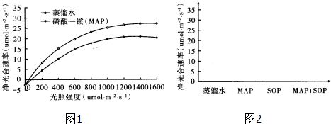 金鱼最佳光照时间和强度：关于金鱼的最佳光照时间和强度的信息，金鱼的最佳光照时间和强度 其他宠物 第5张