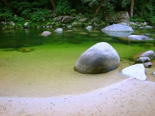 如何改善杰西卡鱼水质：杰西卡鱼水质管理 其他宠物 第5张