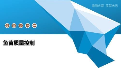 鱼苗生长速度监控技巧：如何监控鱼苗的生长速度 其他宠物 第1张