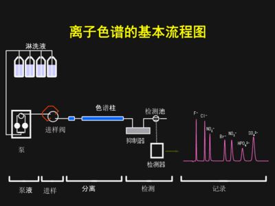 离子色谱法与其他方法比较：离子色谱法与其他分析方法的优缺点 其他宠物 第2张