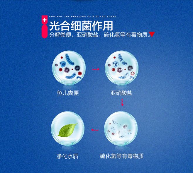 光合硝化细菌使用方法：光合硝化细菌与硝化细菌的区别,光合硝化细菌的副作用 其他宠物 第5张