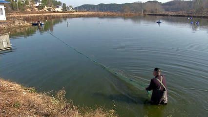 夏季鸭嘴鱼养殖水质调控技巧：夏季鸭嘴鱼养殖密度控制方法，夏季鸭嘴鱼水质调控技巧 其他宠物 第1张