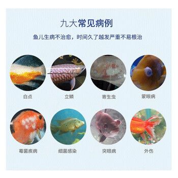 水族药剂品牌对比分析：水族药剂品牌对比 其他宠物 第5张