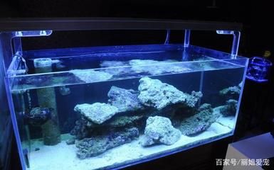 水族箱底沙消毒后处理：水族箱底沙消毒处理方案 其他宠物 第5张