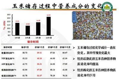 眼斑鲷繁殖饲料蛋白质来源：眼斑鲷繁殖期营养需求，眼斑鲷饲料质量控制方法 其他宠物 第4张