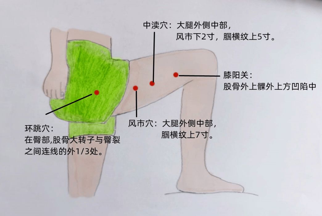 横纹飞凤鱼苗合理饮食指南：横纹飞凤鱼苗饲料品牌推荐飞凤鱼苗活饵投喂技巧 其他宠物 第4张