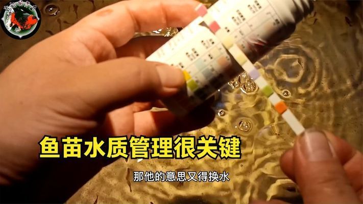 星钻鱼繁殖期间水质管理：星钻鱼繁殖期水温控制技巧 其他宠物 第2张