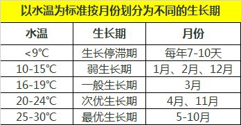 双线侧鱼冬季投喂策略：冬季双线侧鱼投喂策略 其他宠物 第3张