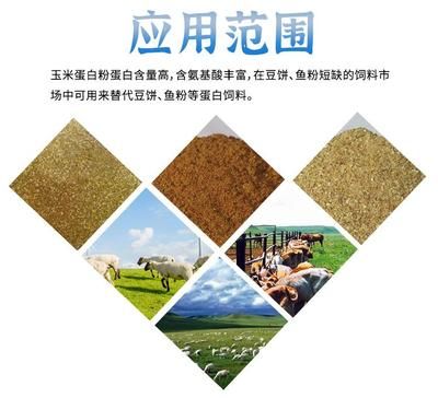 鱼粉在饲料中的应用：鱼粉在水产养殖业中的应用 其他宠物 第4张